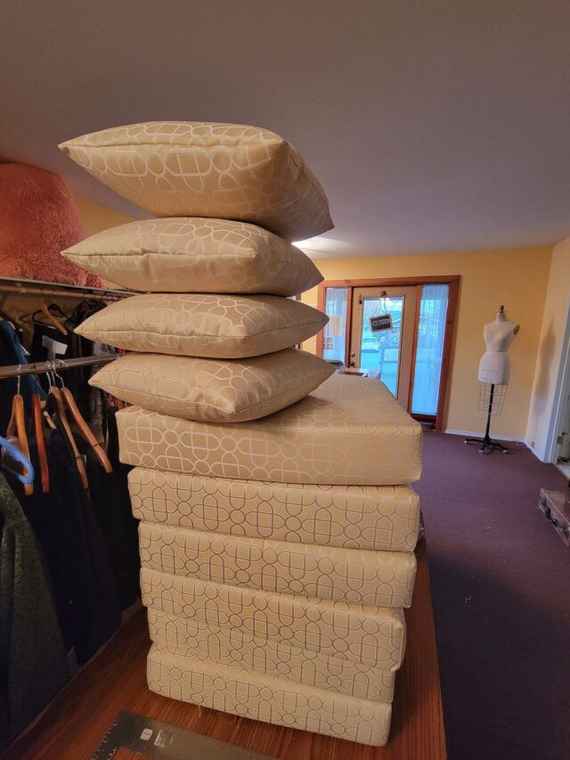 Read more about the article It was a ” Pillow Tuesday ” yesterday